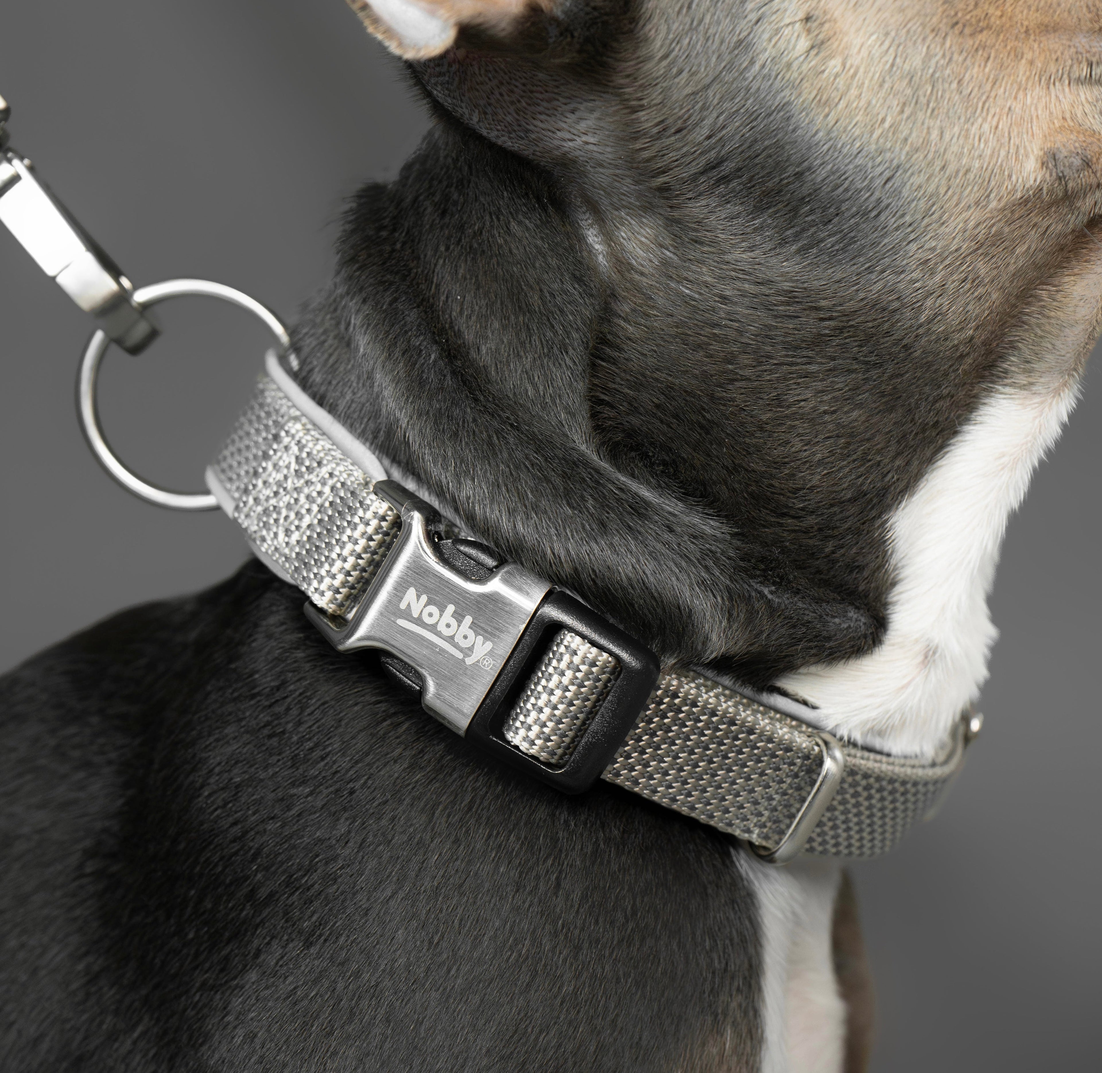 Hunde Halsbänder