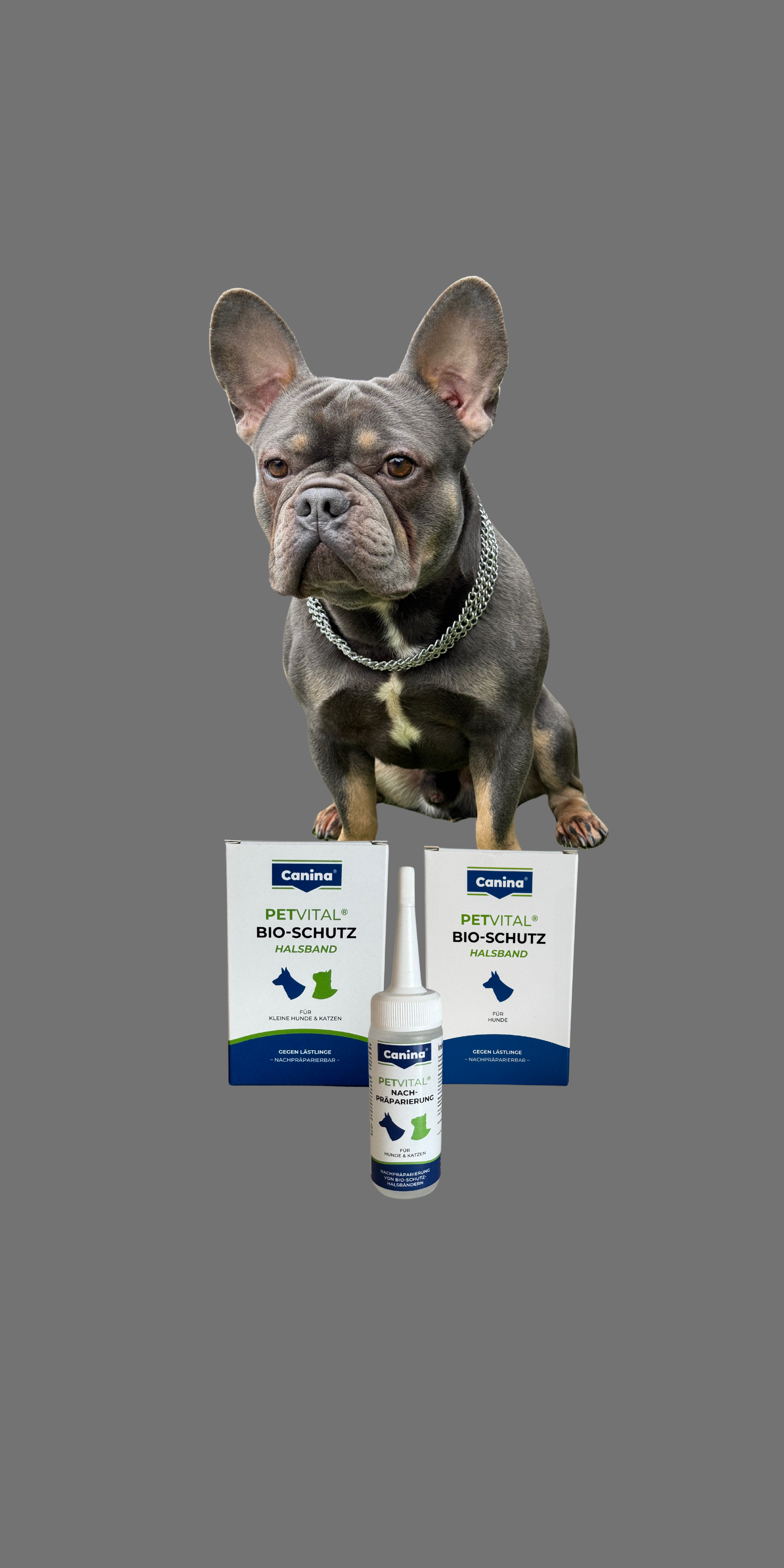 Hunde Pflegeprodukte