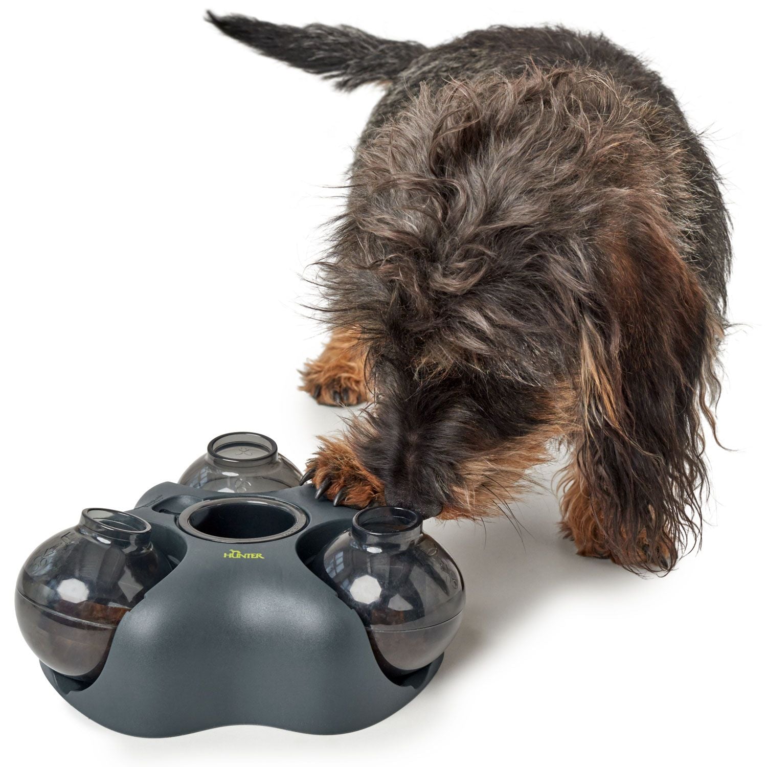 Hunter Intelligentes Hunde- und Katzenspielzeug
