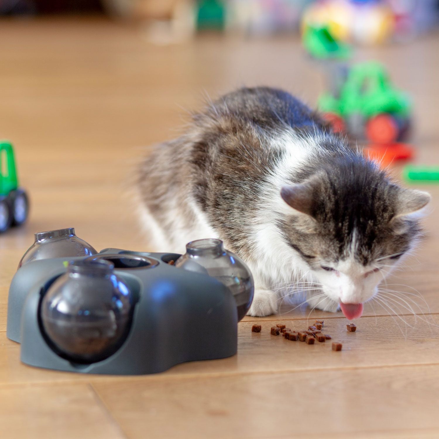 Hunter Intelligentes Hunde- und Katzenspielzeug