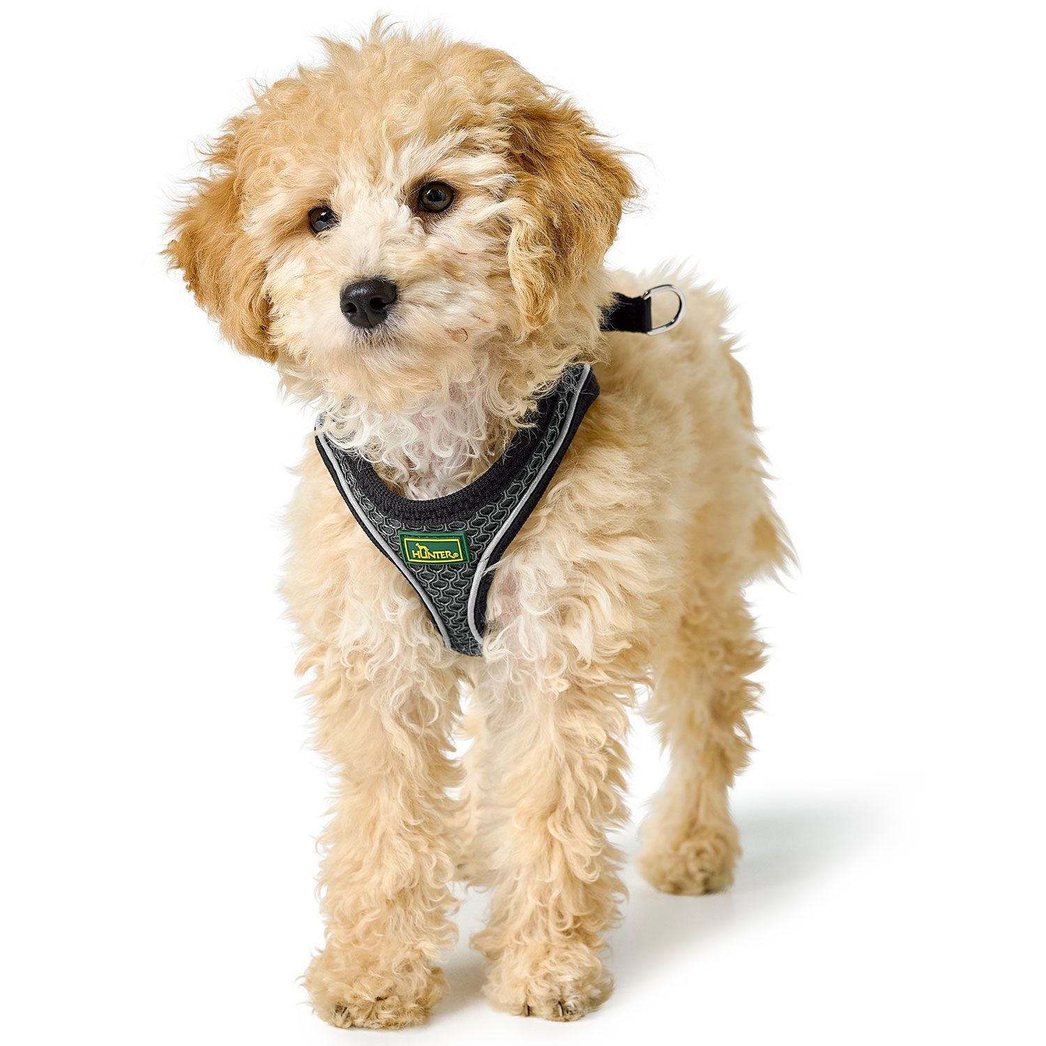 Hunter Geschirr Hilo Comfort