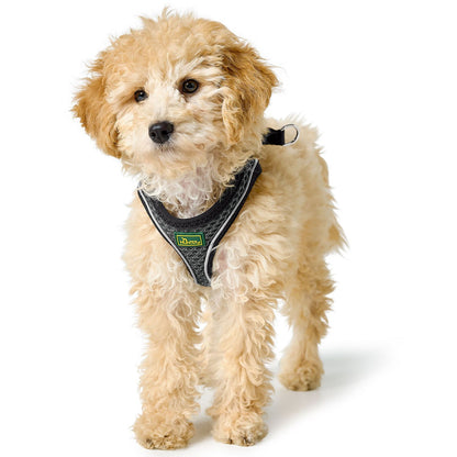 Hunter Geschirr Hilo Comfort