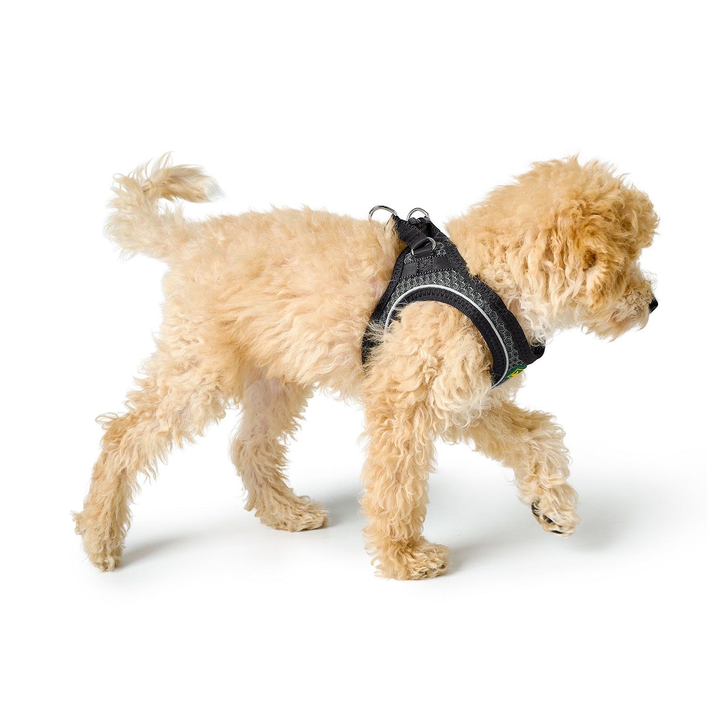 Hunter Geschirr Hilo Comfort