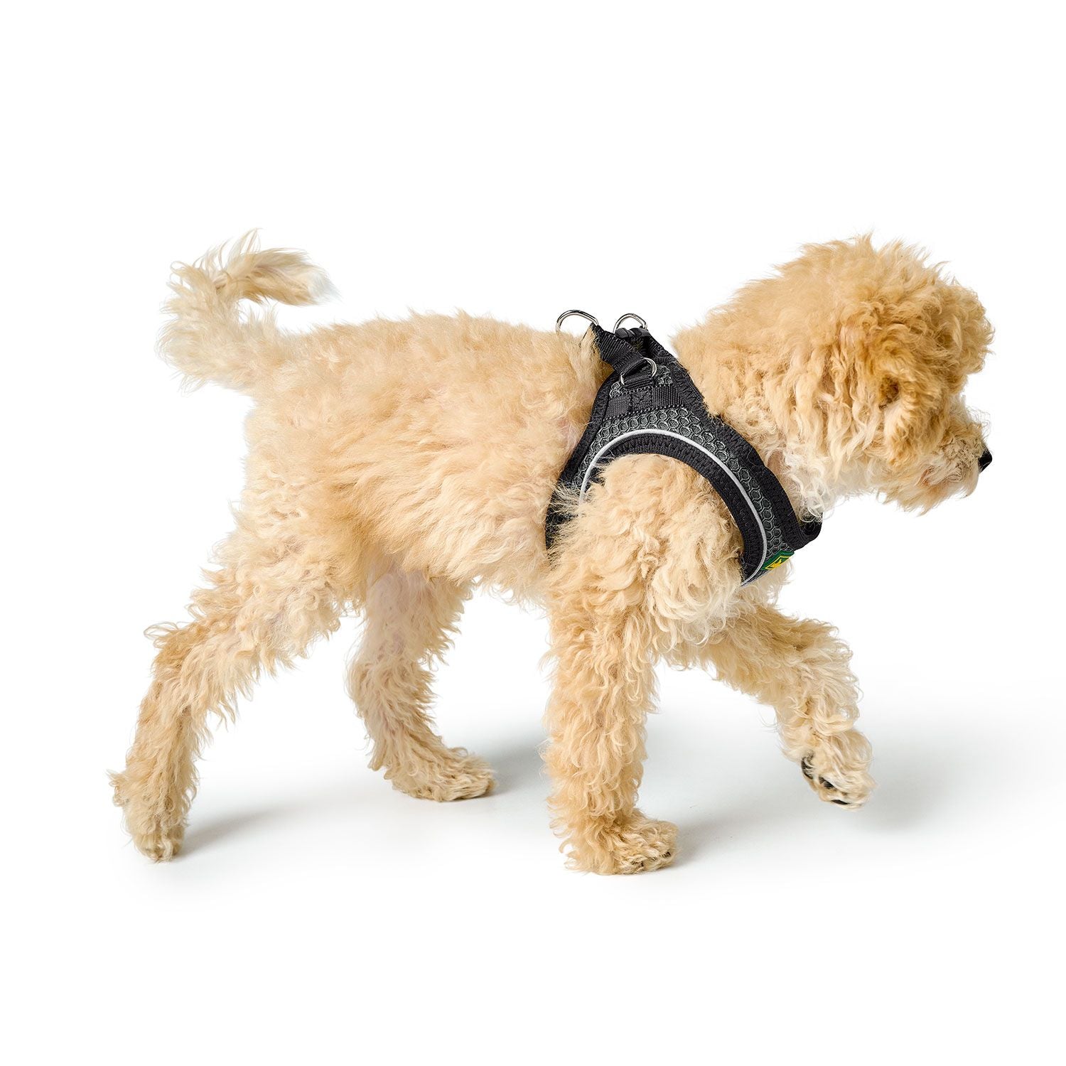 Hunter Geschirr Hilo Comfort