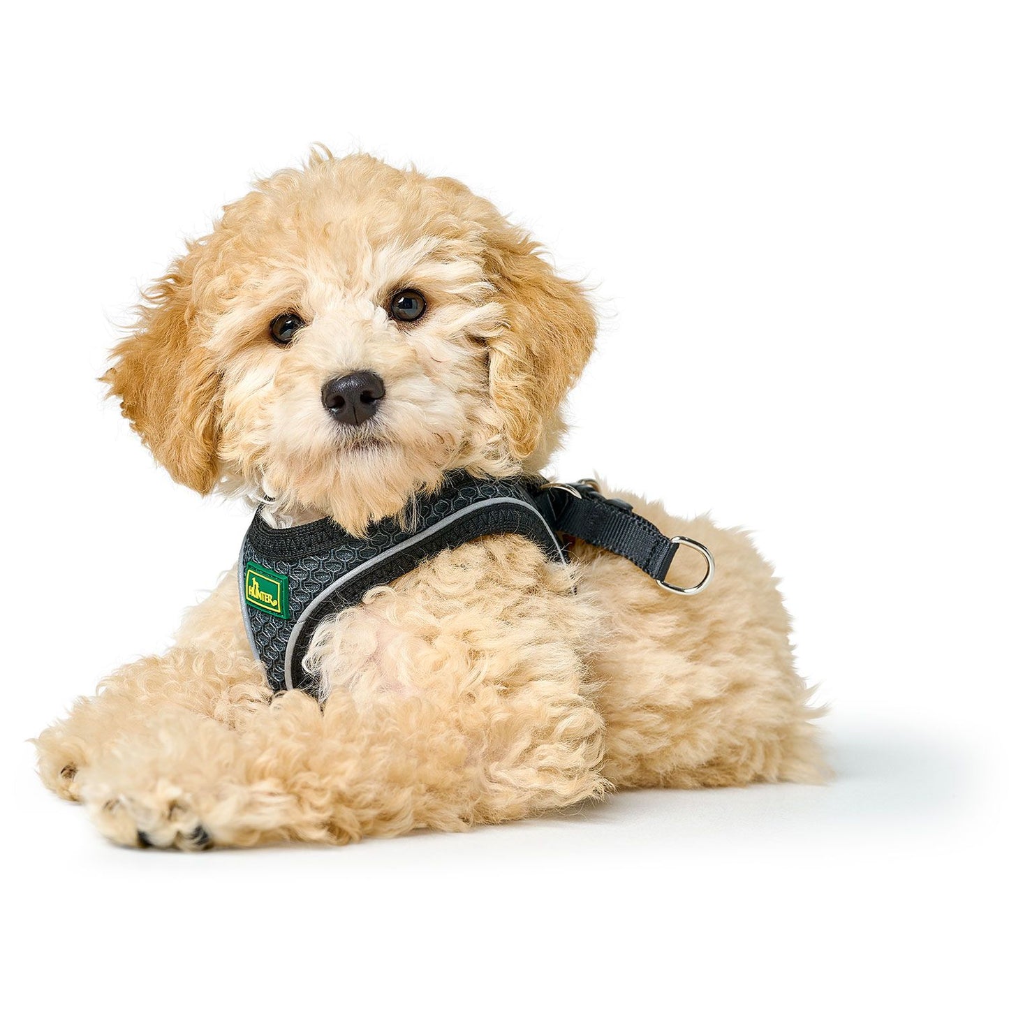Hunter Geschirr Hilo Comfort
