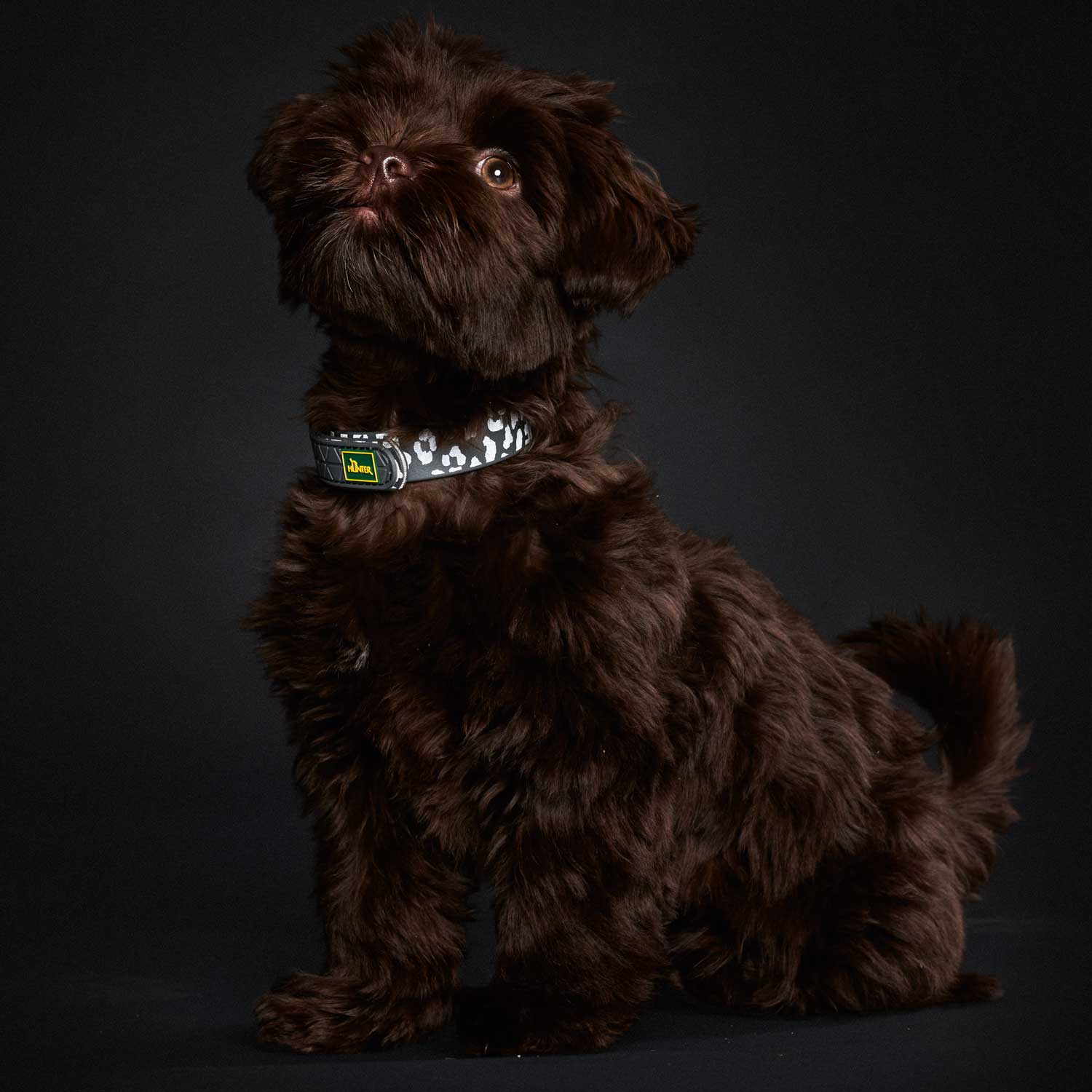Hunter Halsband Convenience Reflect